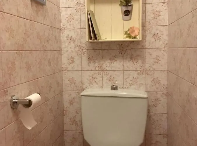 Casa L'avia Apartamento Ribes De Freser